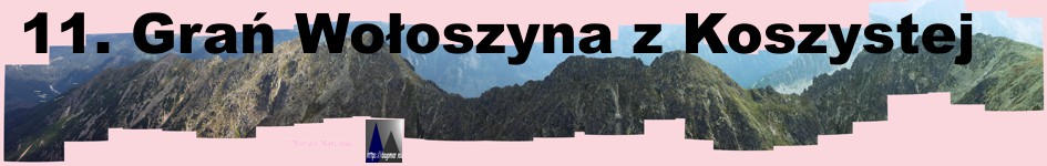 Wołoszyn z Koszystej